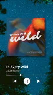 New song dropping on the 25th. Get the pre-save link in your inbox by commenting “wild”

#indieartist #worshipartist #worshipmusic